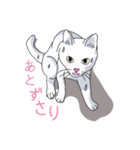はらぺこおねだりねこ（個別スタンプ：16）