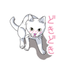 はらぺこおねだりねこ（個別スタンプ：17）