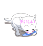 はらぺこおねだりねこ（個別スタンプ：22）