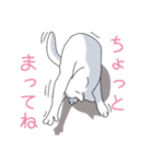 はらぺこおねだりねこ（個別スタンプ：24）