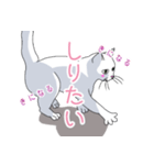 はらぺこおねだりねこ（個別スタンプ：26）