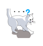 はらぺこおねだりねこ（個別スタンプ：28）