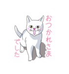 はらぺこおねだりねこ（個別スタンプ：31）