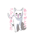 はらぺこおねだりねこ（個別スタンプ：32）