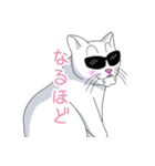 はらぺこおねだりねこ（個別スタンプ：36）