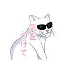 はらぺこおねだりねこ（個別スタンプ：37）