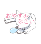 はらぺこおねだりねこ（個別スタンプ：39）