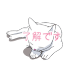はらぺこおねだりねこ（個別スタンプ：40）