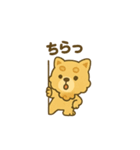ちびっこまいぬ（個別スタンプ：22）