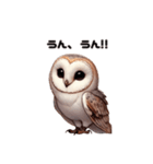 メンフクロウ日本語ver（個別スタンプ：3）