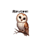 メンフクロウ日本語ver（個別スタンプ：6）