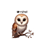 メンフクロウ日本語ver（個別スタンプ：7）