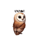 メンフクロウ日本語ver（個別スタンプ：8）