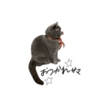 ピッピ(=^x^=)（個別スタンプ：4）