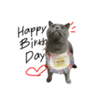 ピッピ(=^x^=)（個別スタンプ：5）