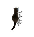 ピッピ(=^x^=)（個別スタンプ：8）