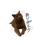 ピッピ(=^x^=)（個別スタンプ：14）