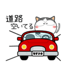 ハチワレ猫★お買い物（個別スタンプ：4）