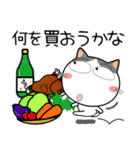 ハチワレ猫★お買い物（個別スタンプ：6）