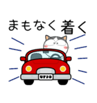 ハチワレ猫★お買い物（個別スタンプ：23）