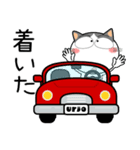 ハチワレ猫★お買い物（個別スタンプ：24）