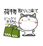 ハチワレ猫★お買い物（個別スタンプ：25）