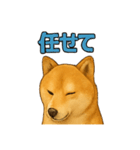 毎日使える☆柴犬スタンプ☆（個別スタンプ：12）