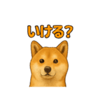 毎日使える☆柴犬スタンプ☆（個別スタンプ：13）
