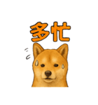 毎日使える☆柴犬スタンプ☆（個別スタンプ：14）