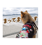 イサミちゃん（個別スタンプ：6）