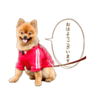 イサミちゃん（個別スタンプ：10）