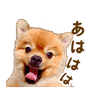 イサミちゃん（個別スタンプ：14）