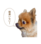 イサミちゃん（個別スタンプ：18）