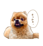イサミちゃん（個別スタンプ：19）