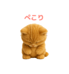 毎日使えるもふもふ子猫ぬいぐるみスタンプ（個別スタンプ：2）