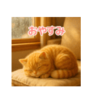 毎日使えるもふもふ子猫ぬいぐるみスタンプ（個別スタンプ：6）