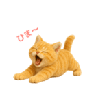 毎日使えるもふもふ子猫ぬいぐるみスタンプ（個別スタンプ：12）