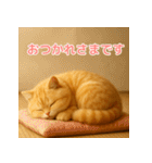 毎日使えるもふもふ子猫ぬいぐるみスタンプ（個別スタンプ：13）