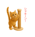 毎日使えるもふもふ子猫ぬいぐるみスタンプ（個別スタンプ：19）