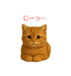 毎日使えるもふもふ子猫ぬいぐるみスタンプ（個別スタンプ：20）