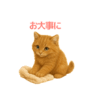 毎日使えるもふもふ子猫ぬいぐるみスタンプ（個別スタンプ：24）