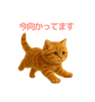 毎日使えるもふもふ子猫ぬいぐるみスタンプ（個別スタンプ：27）