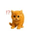 毎日使えるもふもふ子猫ぬいぐるみスタンプ（個別スタンプ：30）