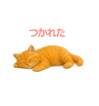 毎日使えるもふもふ子猫ぬいぐるみスタンプ（個別スタンプ：33）
