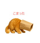 毎日使えるもふもふ子猫ぬいぐるみスタンプ（個別スタンプ：35）