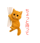 毎日使えるもふもふ子猫ぬいぐるみスタンプ（個別スタンプ：36）