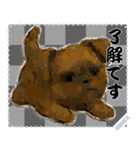 犬の メッセージ スタンプ 91（個別スタンプ：13）