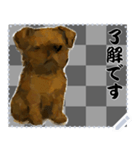 犬の メッセージ スタンプ 91（個別スタンプ：16）