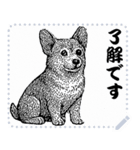 犬の メッセージ スタンプ 10（個別スタンプ：2）