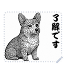 犬の メッセージ スタンプ 10（個別スタンプ：3）